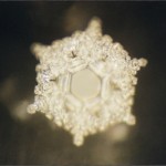 Masaru Emoto Water crystal structured water love and gratitude for water