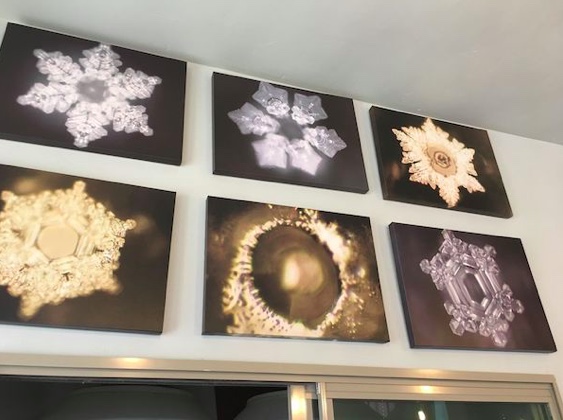 A series of photographs at Liquid Eden show details of water molecules. (Photo by Jess Winans)